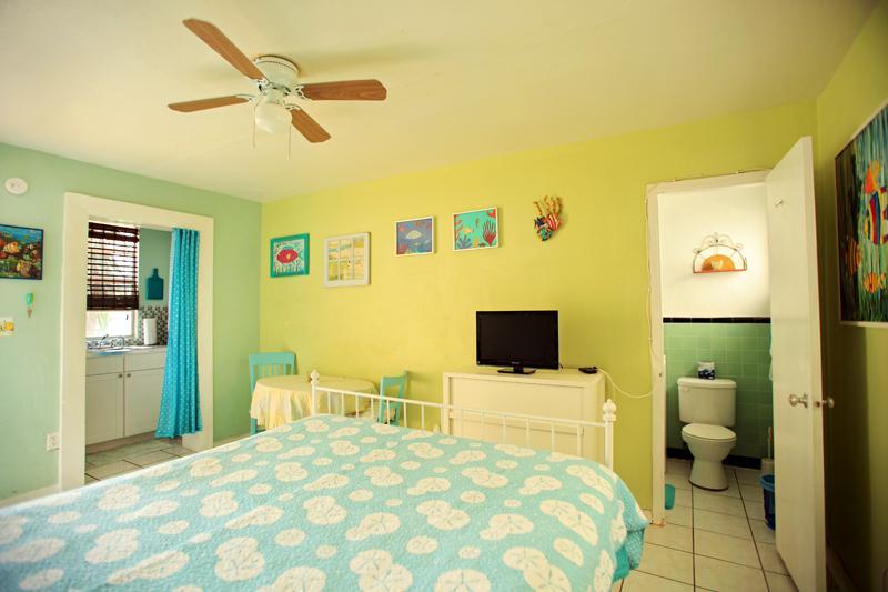 Hotel Angelfish