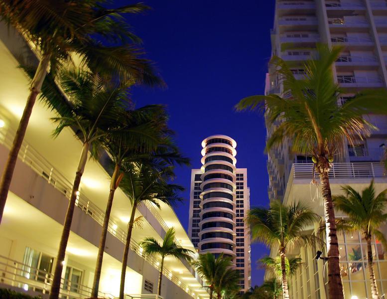 Royal Palm South Miami, A Tribute Portfolio