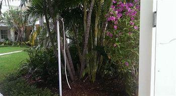 Grand Palm Plaza