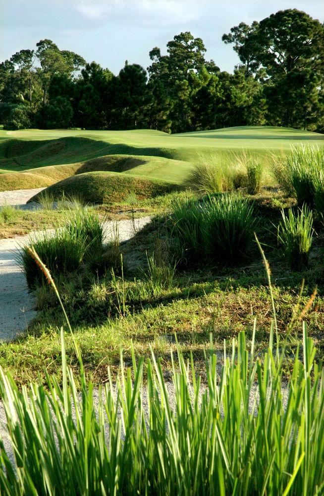 Perfect Drive Vacation 3*