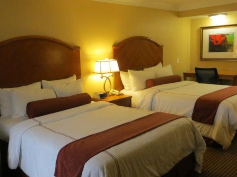 Maingate And 3* Lake Buena Vista