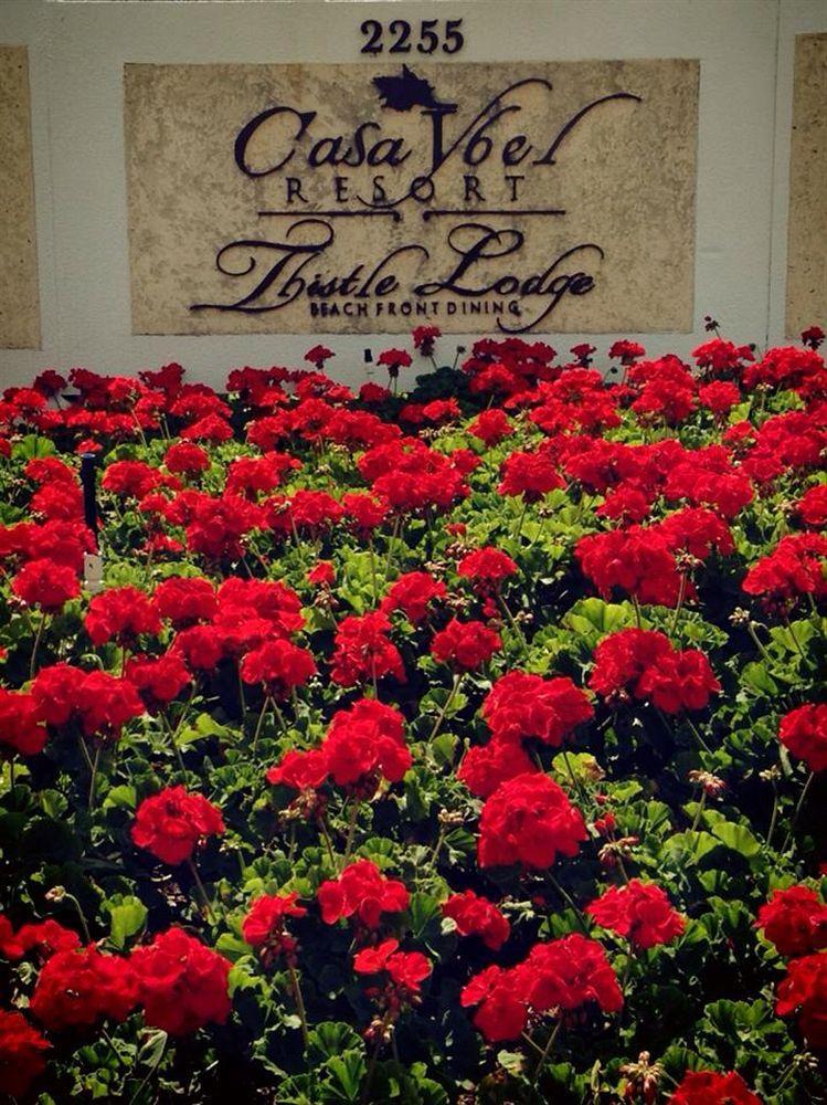 Casa Ybel Resort 4*
