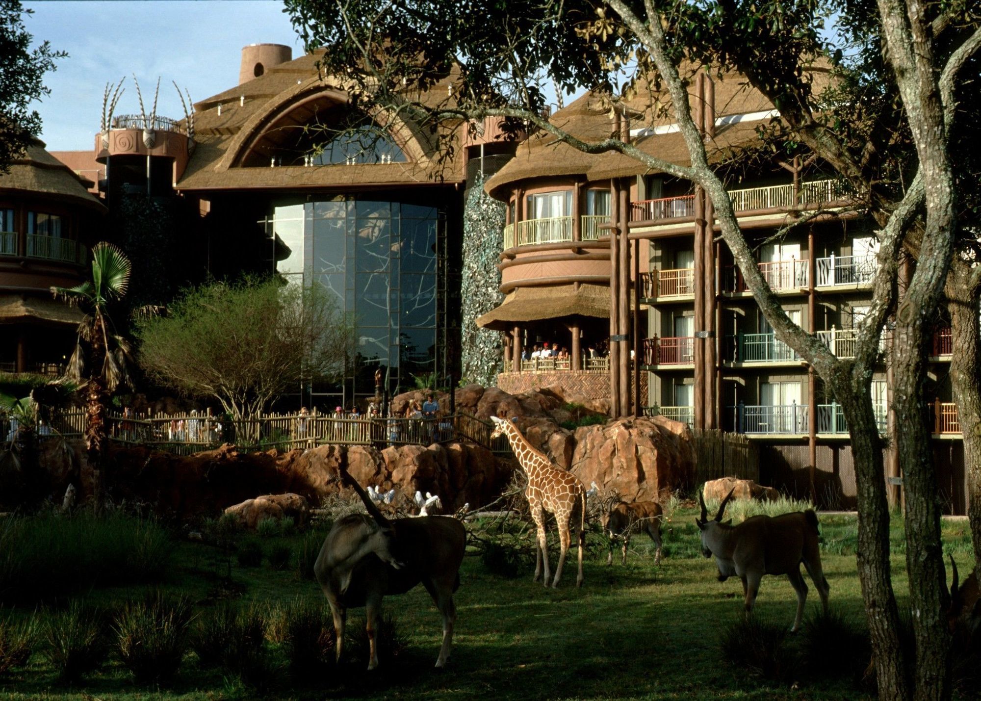 Hotel Disney's All-star Music