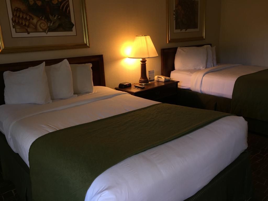Sawgrass & Conference Center Plantation