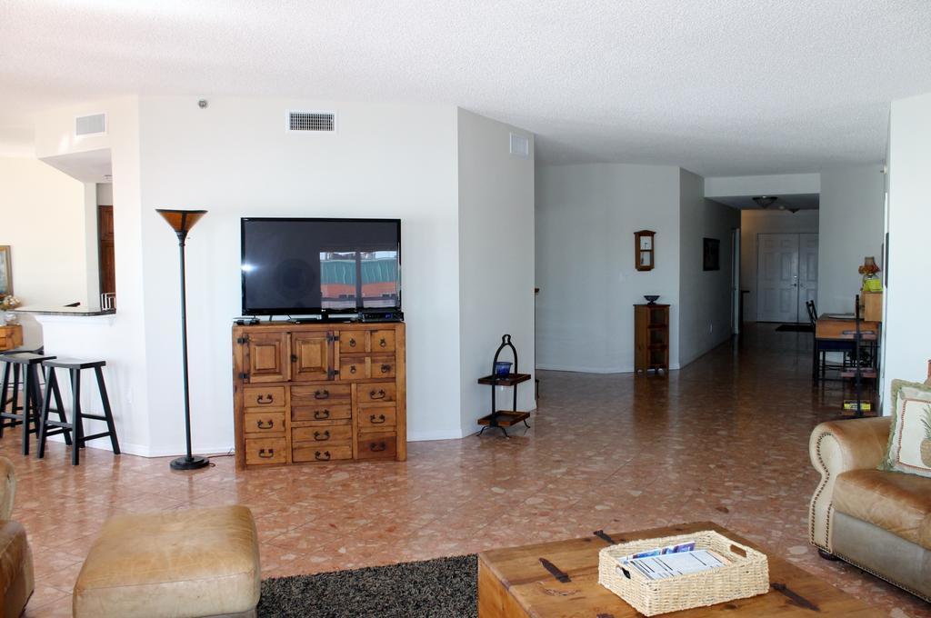 Palms 504
