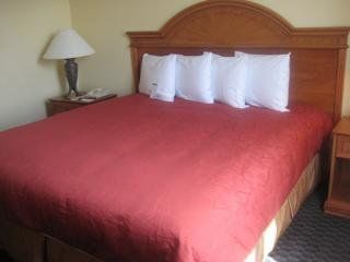 Hotel Country & By Radisson, Airport, Fl Orlando