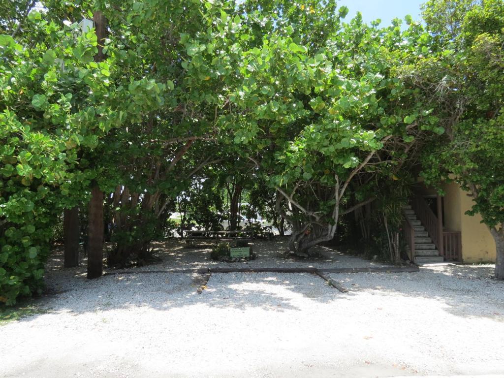 Ed & Ellen'S Lodgings Key Largo Motel 2*