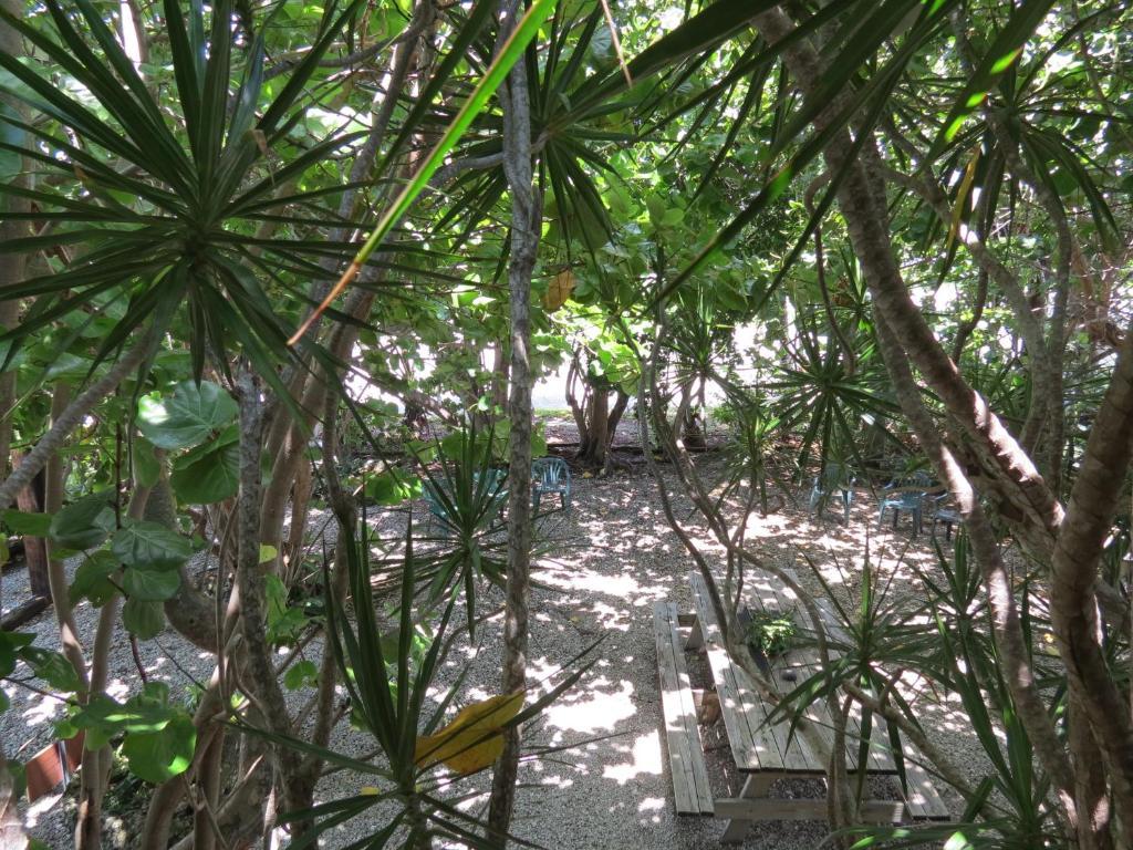 Ed & Ellen'S Lodgings Key Largo Motel 2*