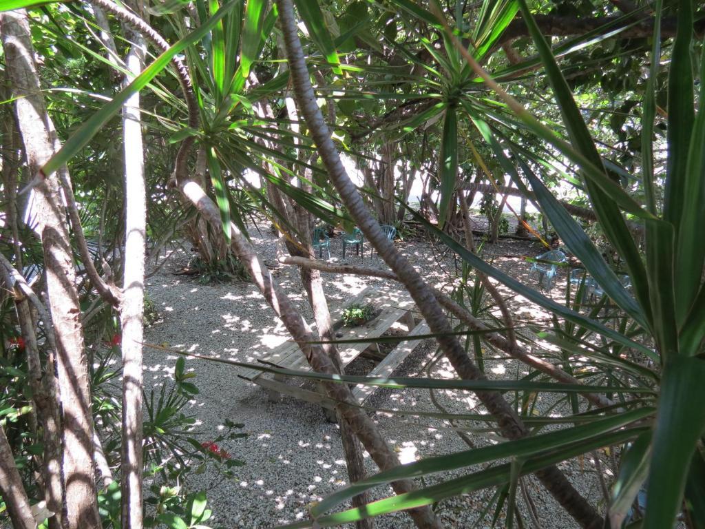 Ed & Ellen'S Lodgings Key Largo 2*