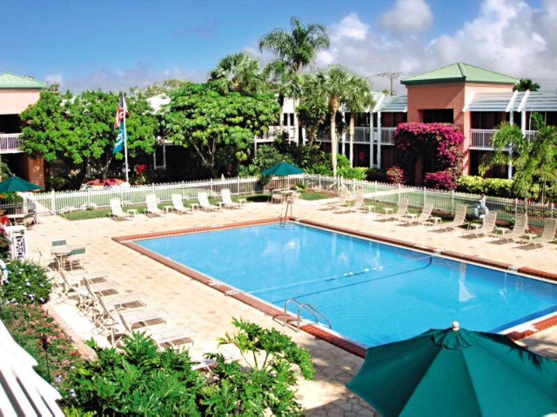 Collins Naples