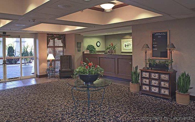Homewood By Hilton Orlando-intl Drive/convention Ctr Hotel Williamsburg