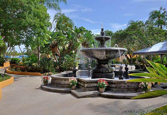 Courtyard By Marriott Sarasota/riverfront 3*