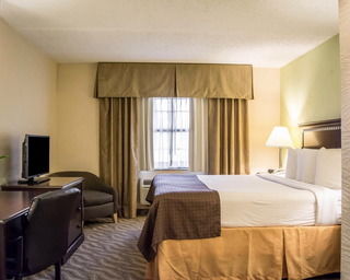 Baymont By Wyndham Near Busch Gardens Tampa