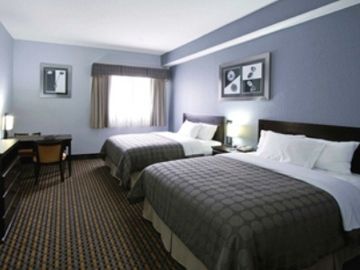 Days & By Wyndham North Naples Hotel