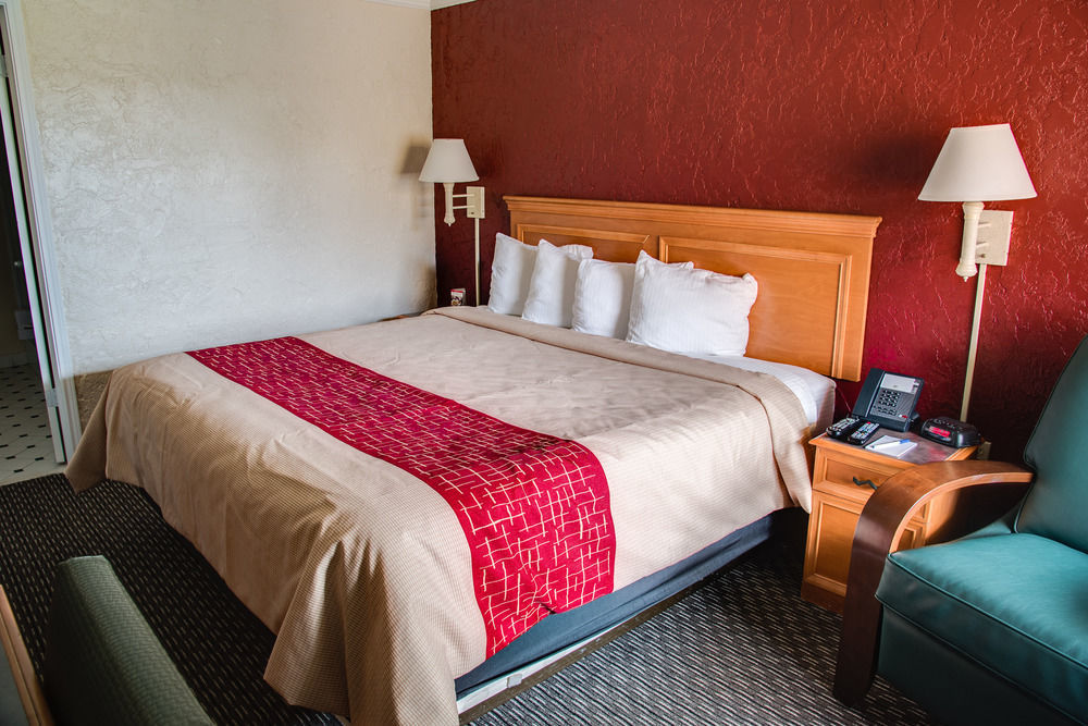 Motel Red Roof Tampa Bay -