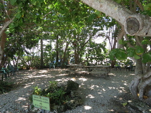 Ed & Ellen'S Lodgings Key Largo Motel 2*