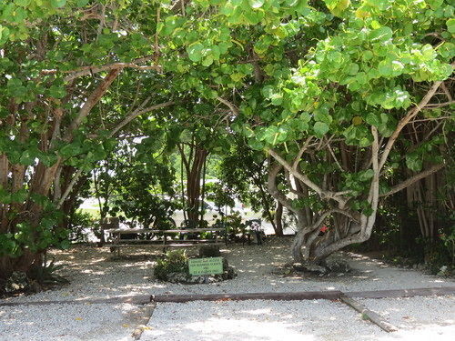 Motel Ed & Ellen'S Lodgings Key Largo Key Largo