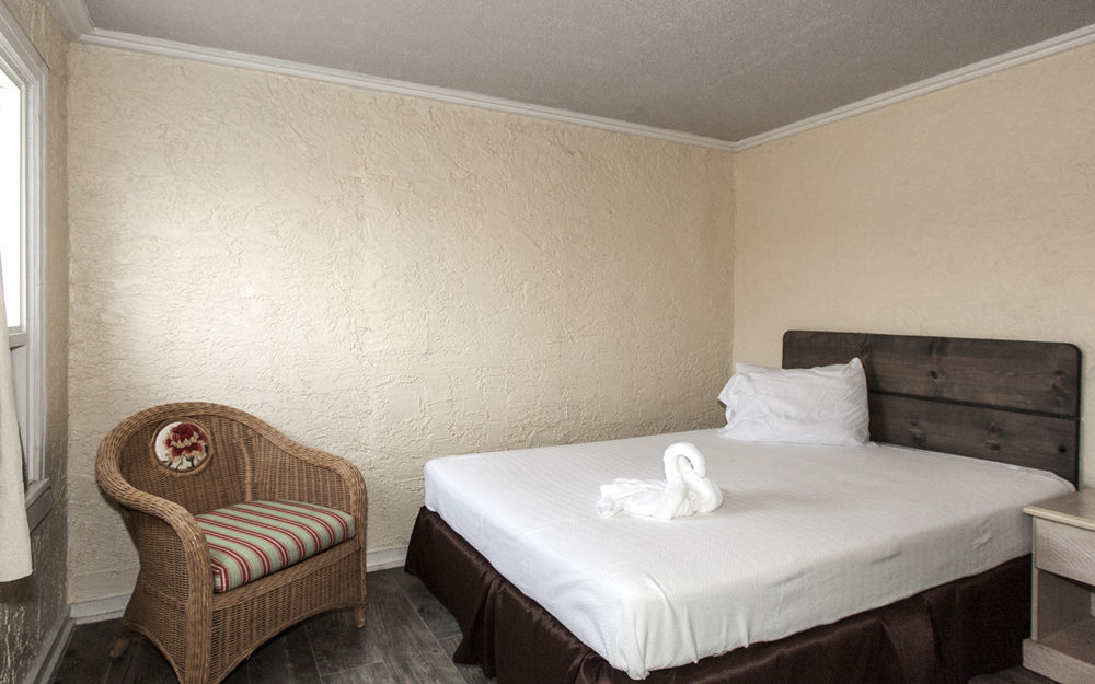 Hotel Palm Grove 2*