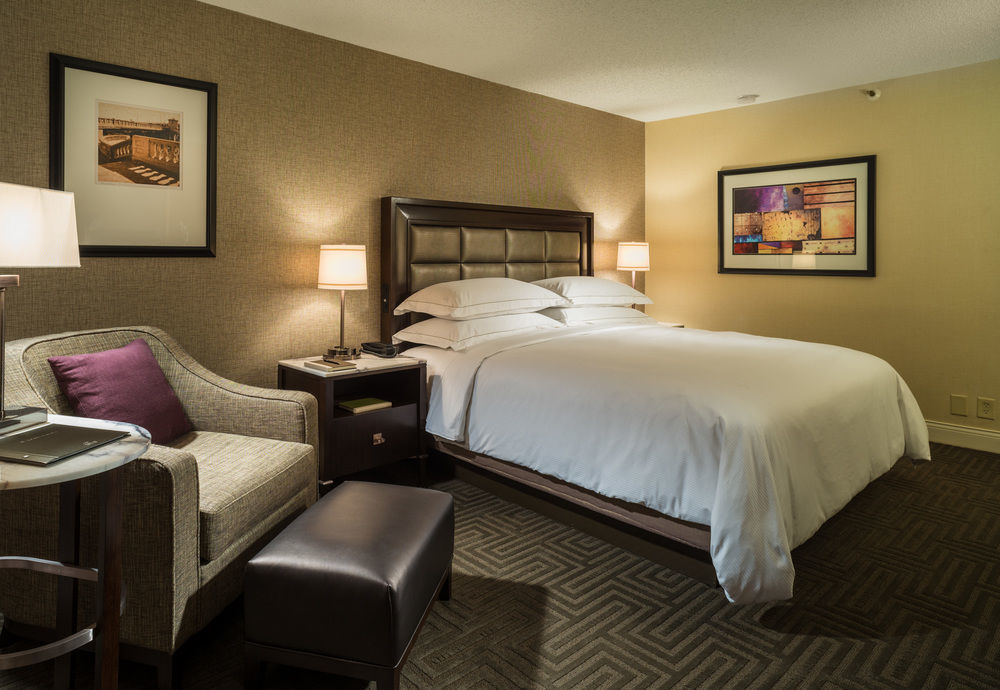 Hotel Hilton Downtown Tampa
