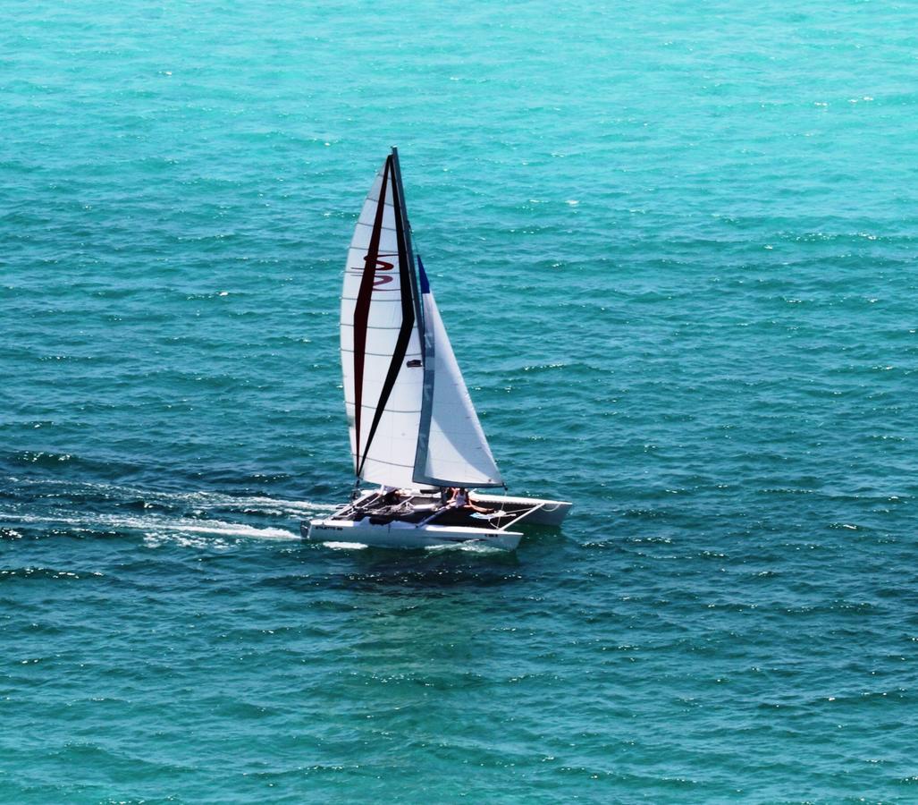 Shores Of Panama