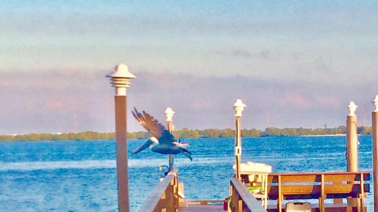 Pag Beachhouse * St. Pete Beach