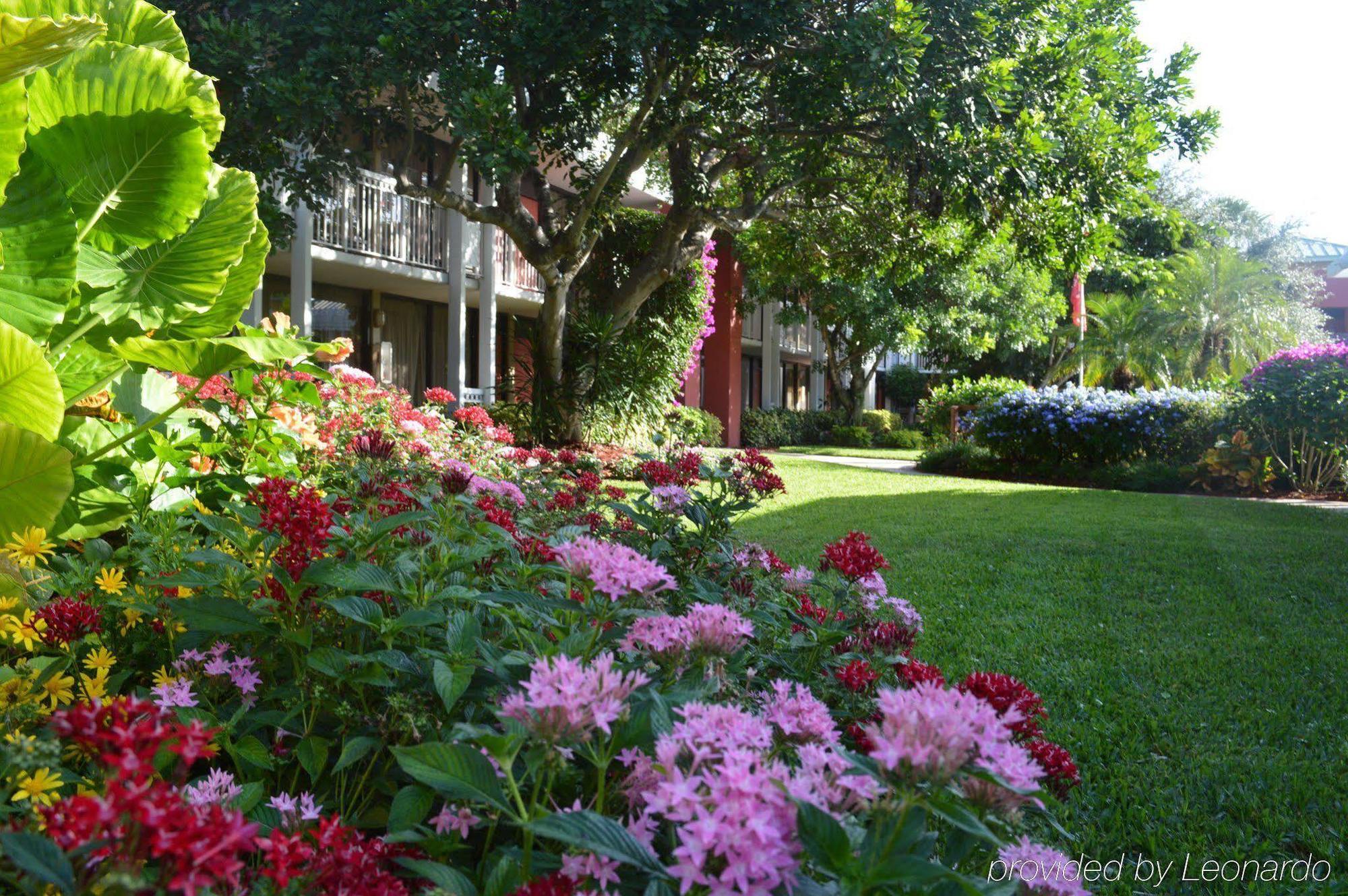 Collins Hotel 3*