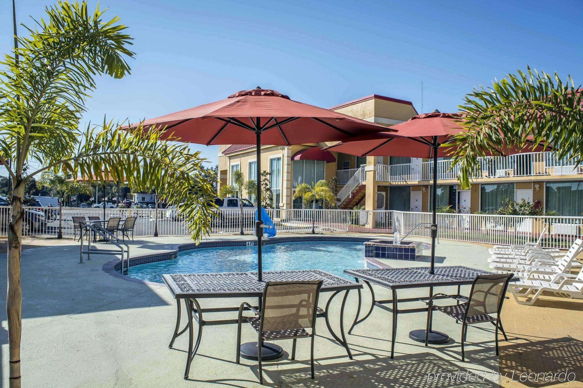 Rodeway Inn New Port Richey
