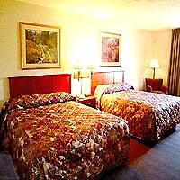 Hotel La Quinta By Wyndham Dr Coral Springs