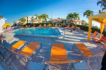 Florida Dolphin 2*