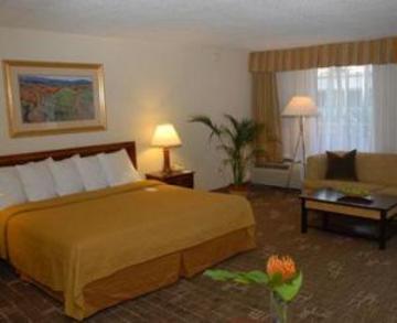 Sawgrass & Conference Center Plantation