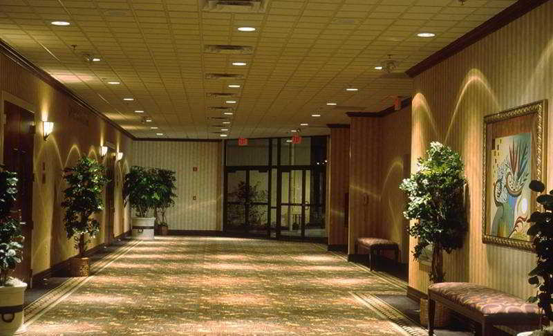 Sheraton Orlando Buena Vista Hotel Lake Buena Vista