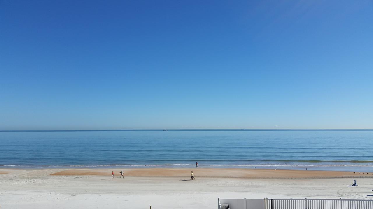 Driftwood Ormond Beach