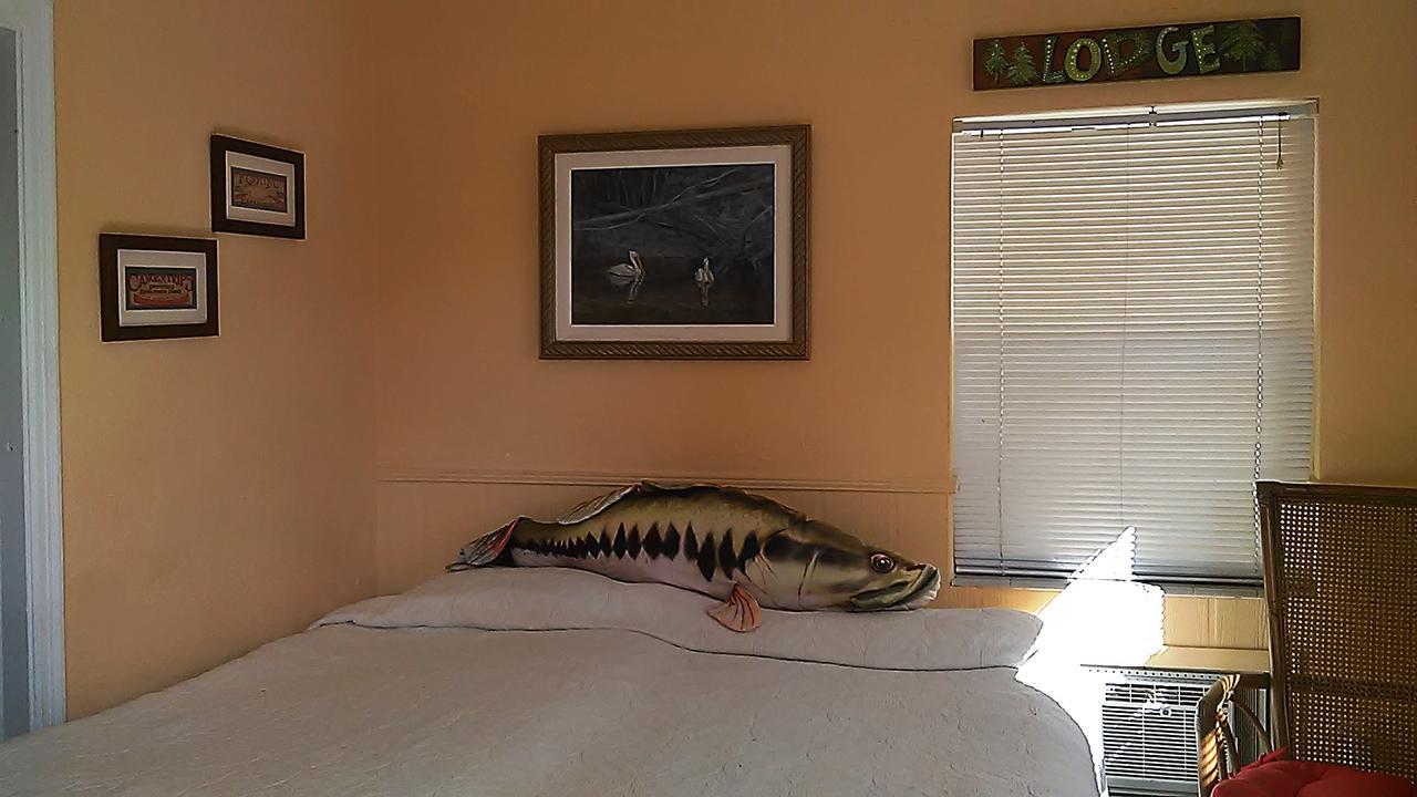 Motel Swashbuckler Treasure Island