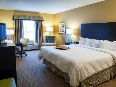Hampton & St. Petersburg/downtown Hotel 3*