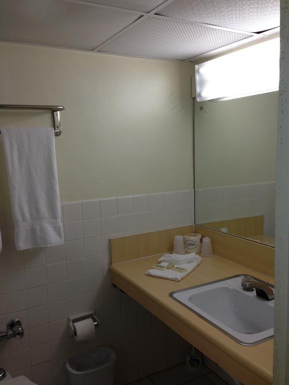 Knights Hallandale Hollywood