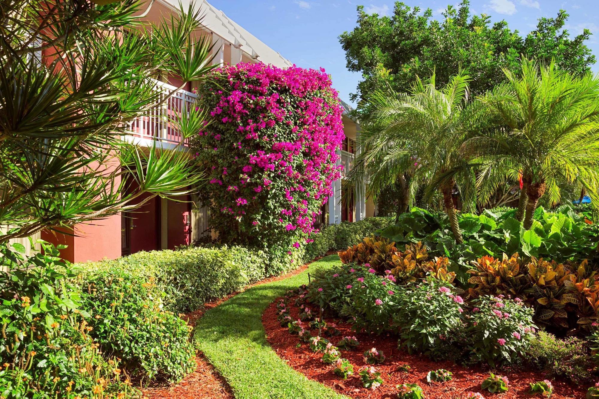 Collins 3* Naples