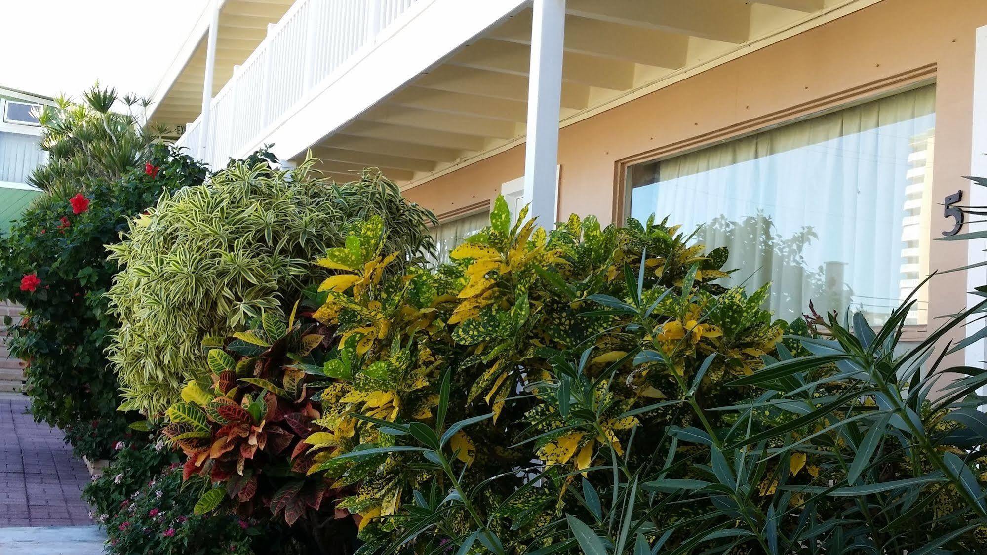 The Palms On Ocean Pompano Beach
