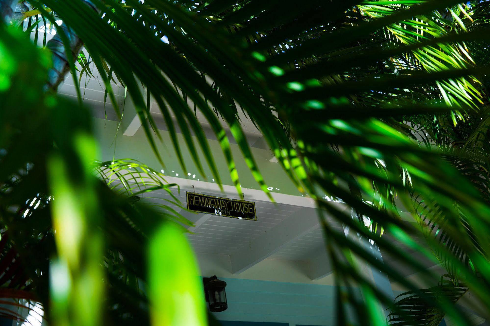 The Caribbean Hotel 3*