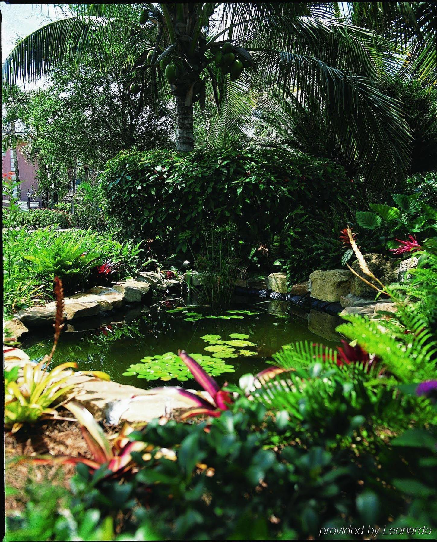 Hotel Sanibel Inn