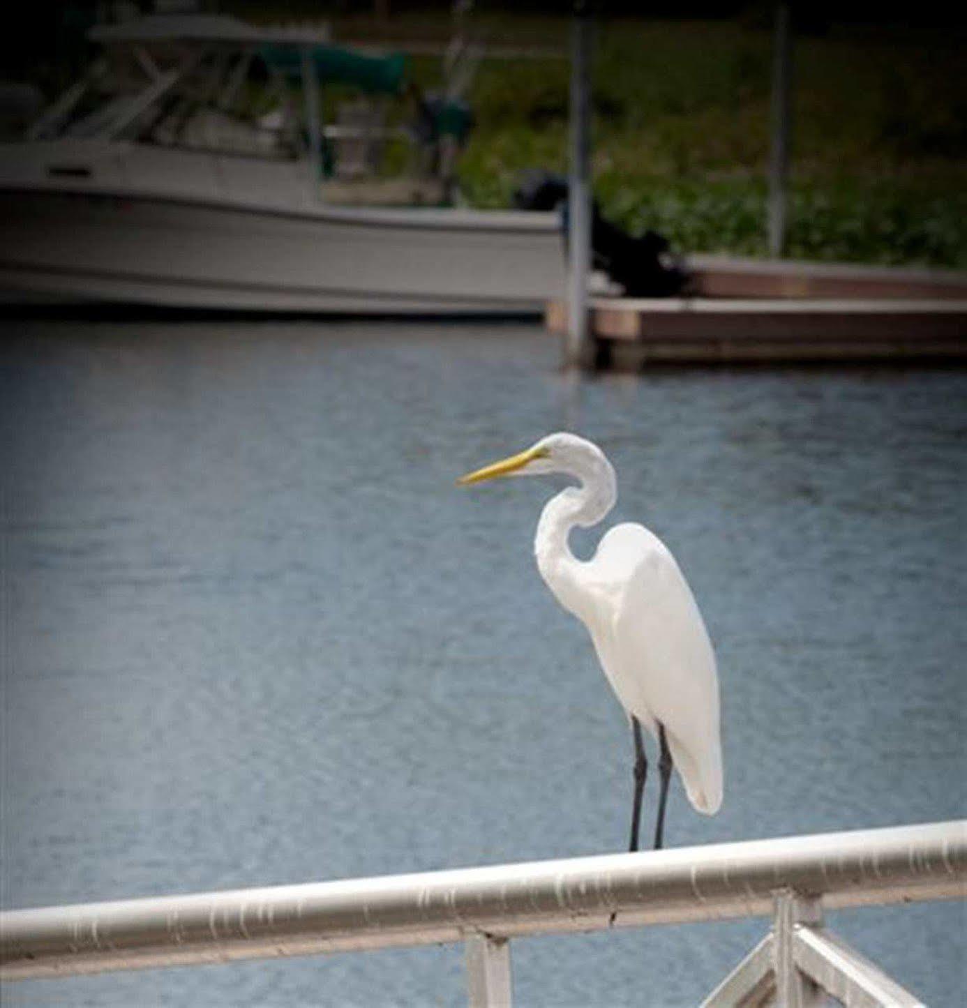 Hotel Hampton - Okeechobee