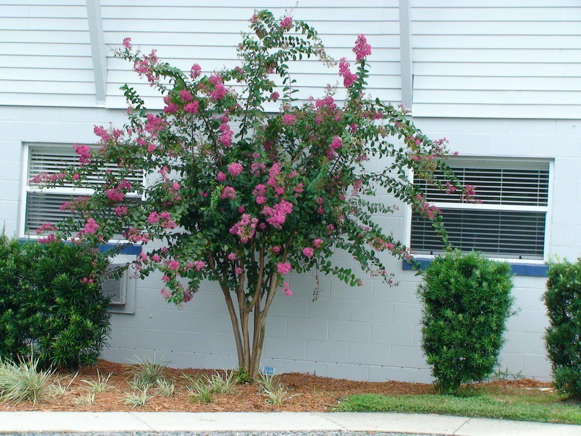 Hotel Hontoon Landing & Marina DeLand