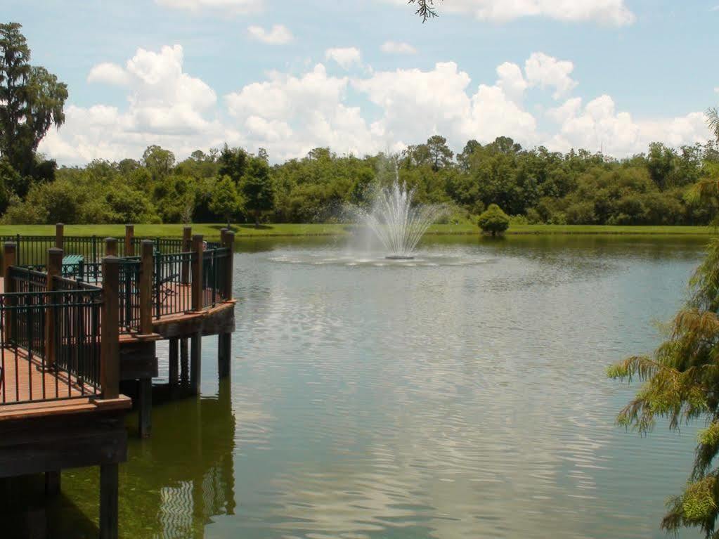 The At Seven Dwarfs * Kissimmee