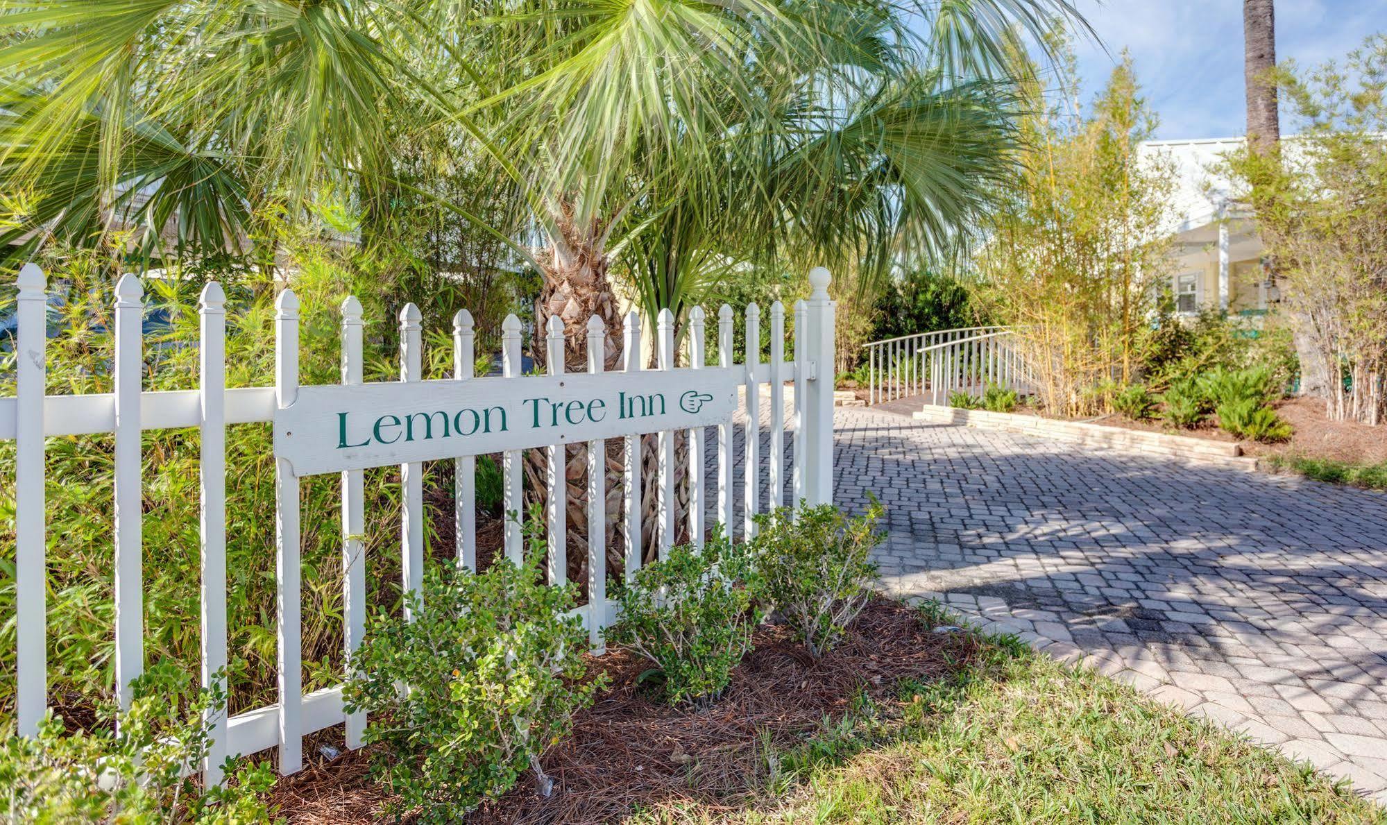 Lemon Tree