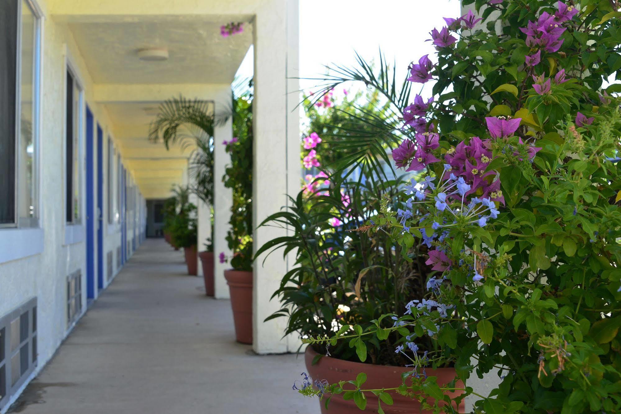 Hotel Americas Value Bradenton-sarasota Bradenton