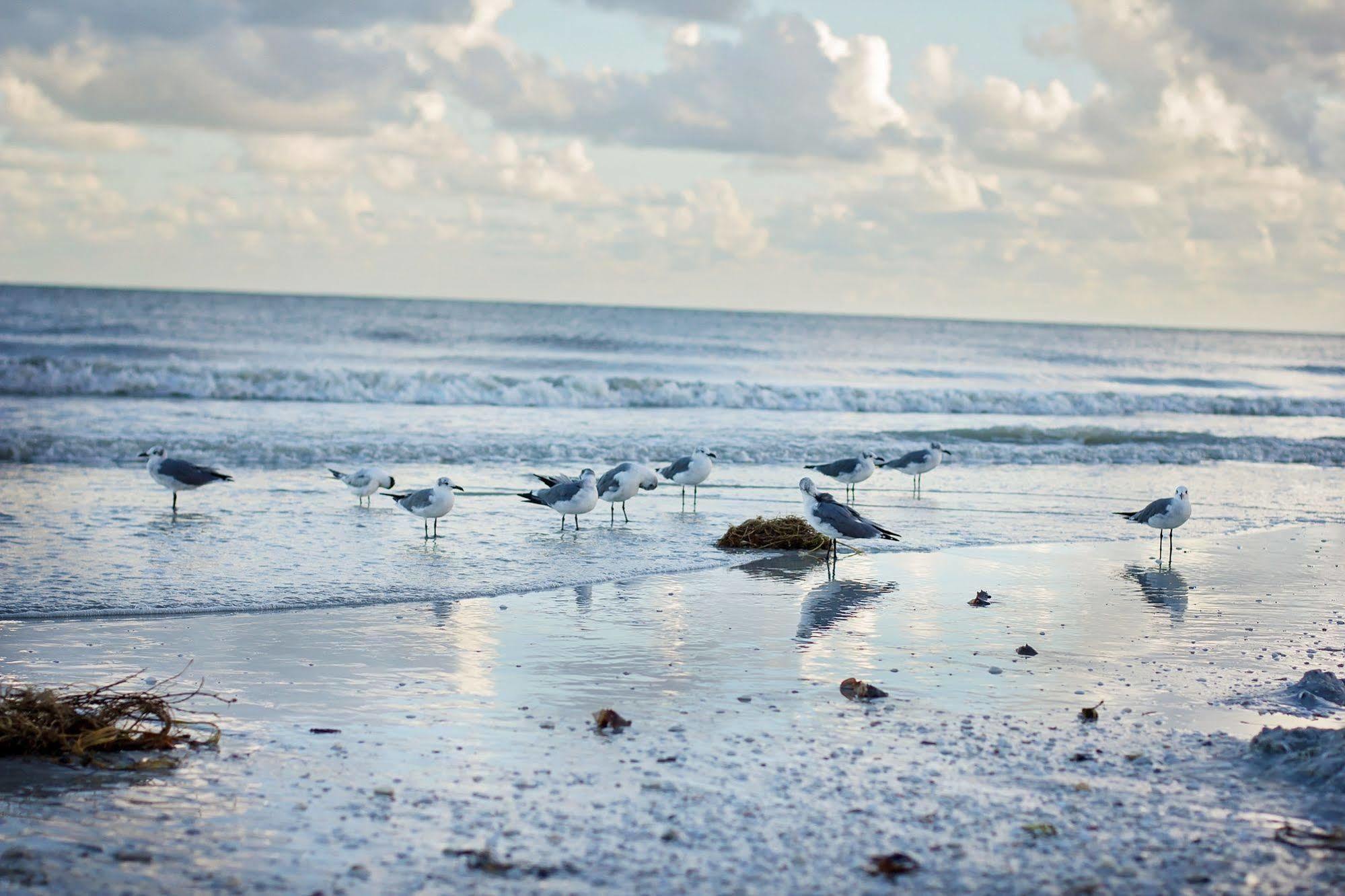 Moorings Resort Sanibel