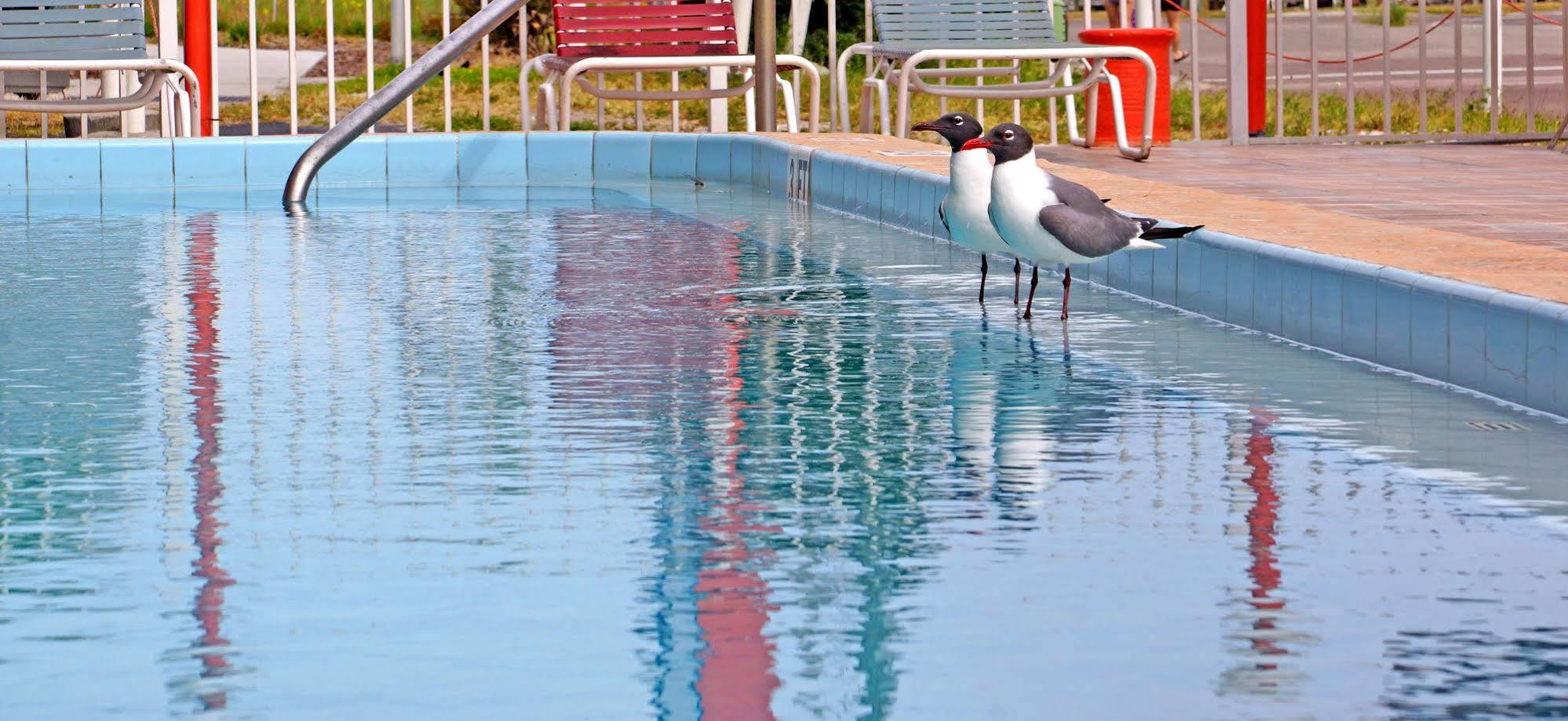 Motel Beachwalk Clearwater Beach