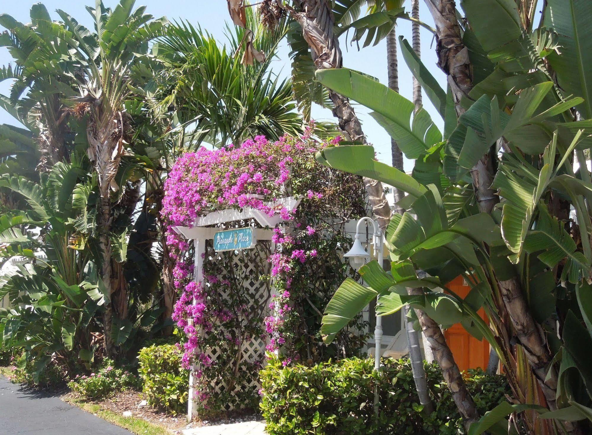 Apartment Pineapple Place