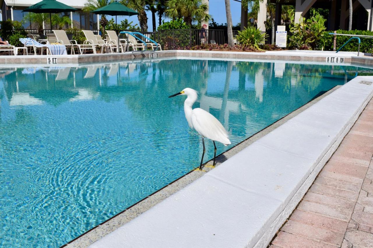 Resort Caribbean Club 2*