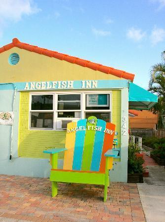 Angelfish Hollywood