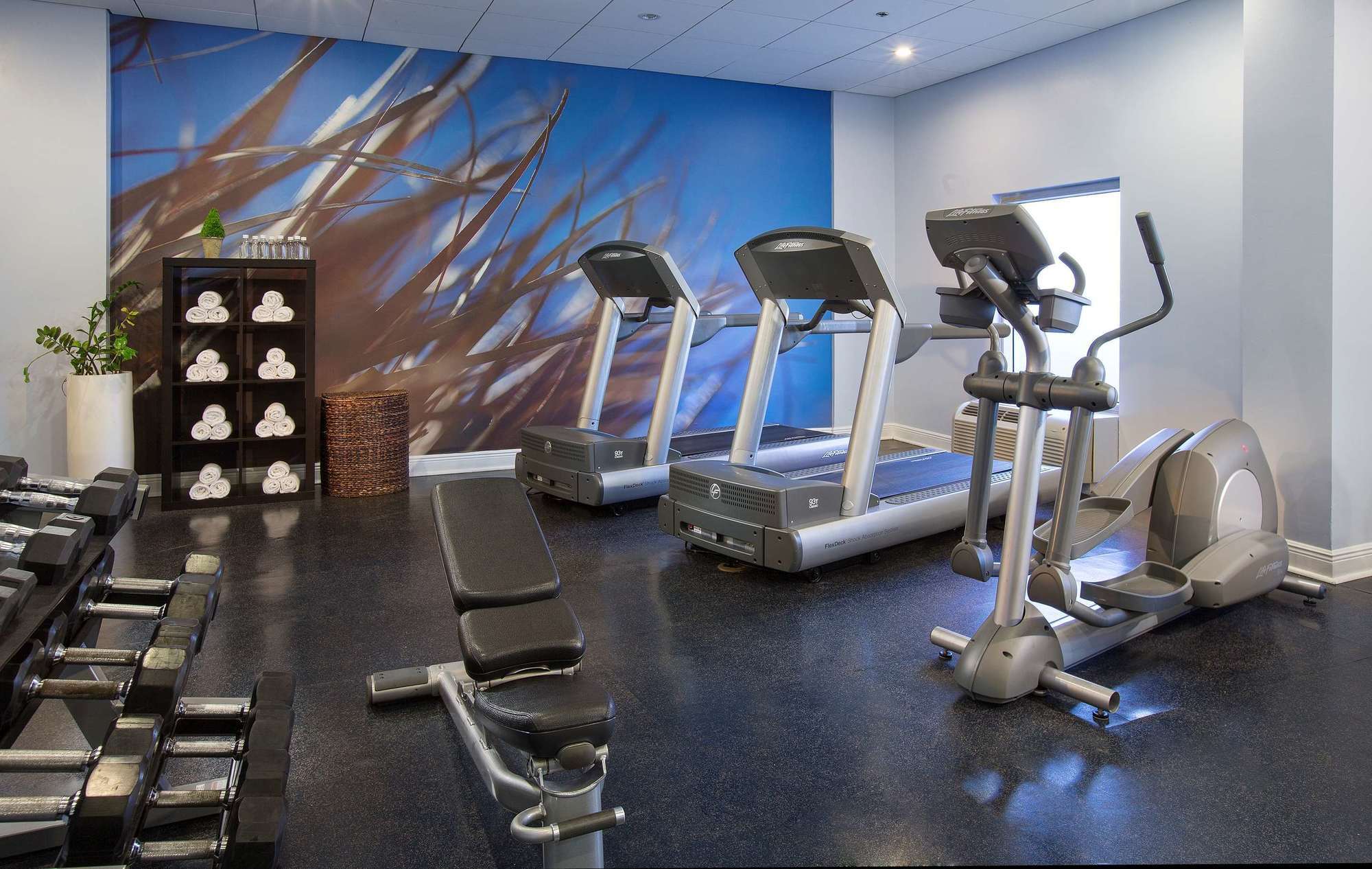 Hotel Aloft Miami Dadeland Kendall